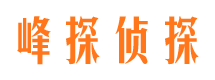 连山市场调查